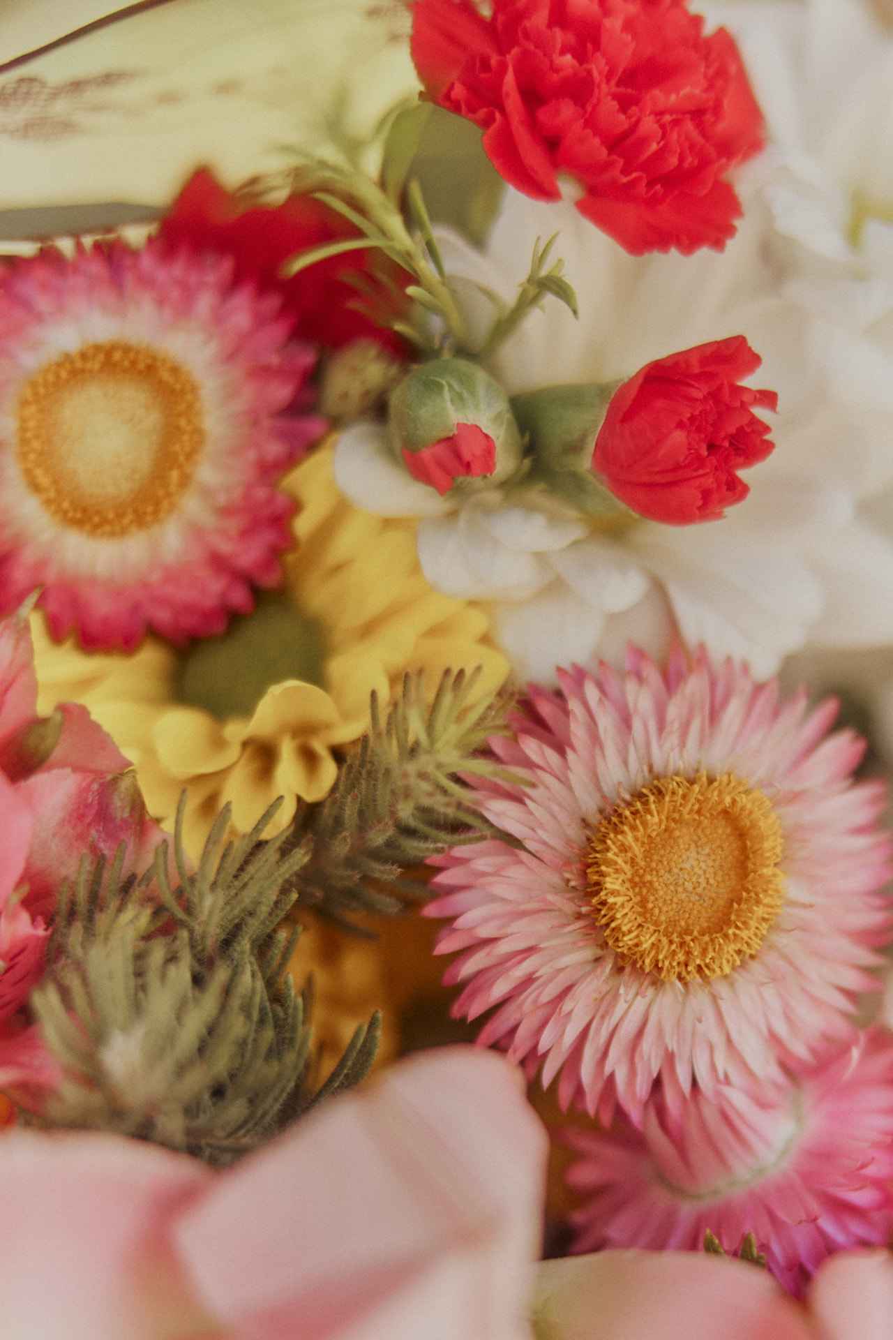 Close-up of pink strawflowers and coral carnations on a dinner table